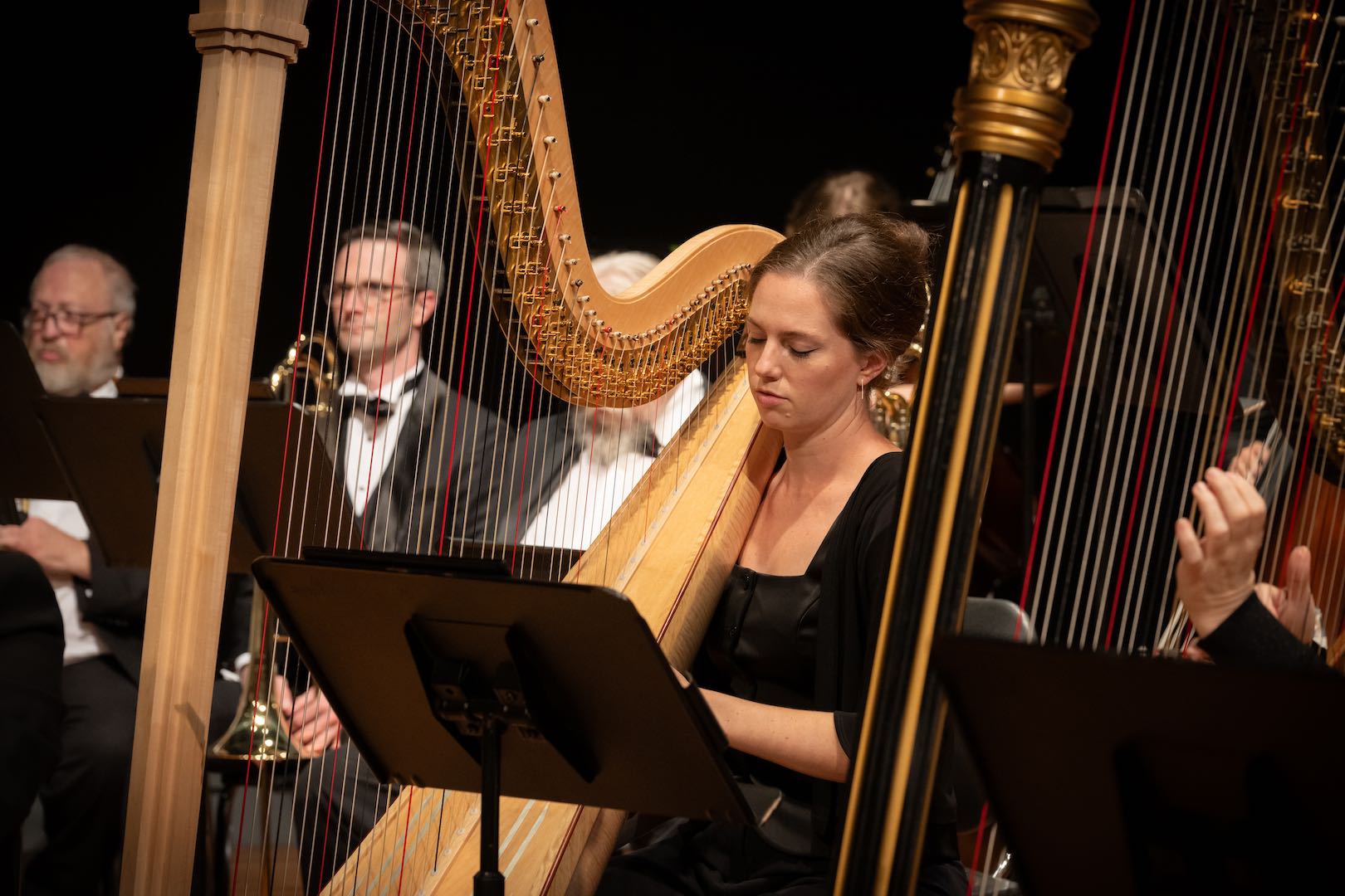 Principal Harp Sorana Scarlat with twin harps.