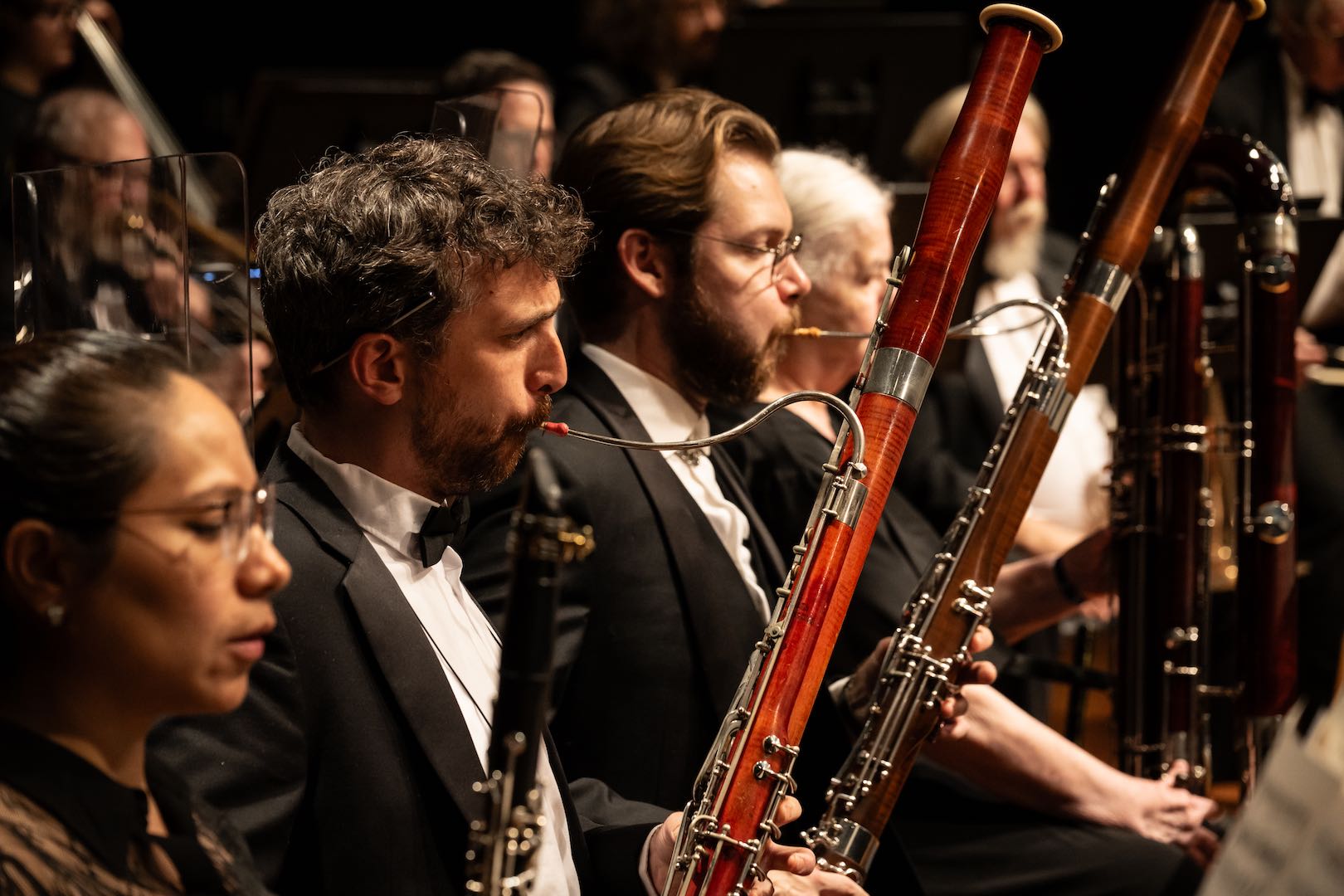 Clarinets and bassoons of the woodwind section.
